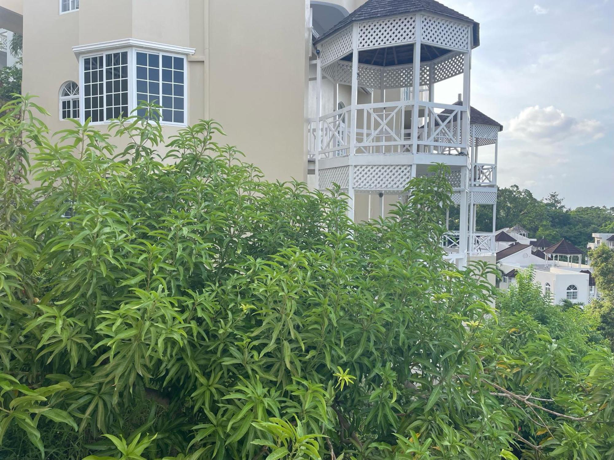 Oceanbreeze Jamaica Penthouse, 7-Minute Walk To Beach 오쵸 리오스 외부 사진
