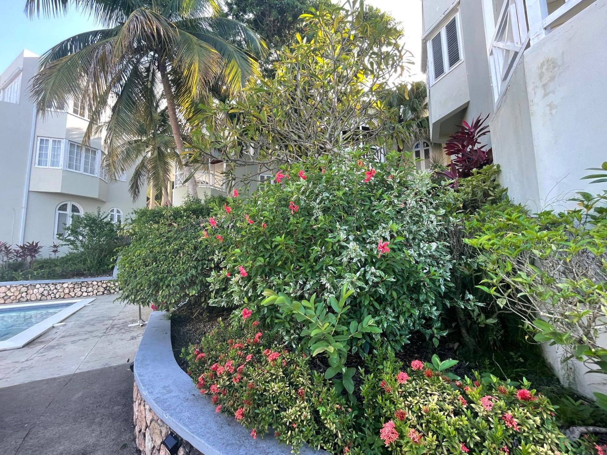 Oceanbreeze Jamaica Penthouse, 7-Minute Walk To Beach 오쵸 리오스 외부 사진