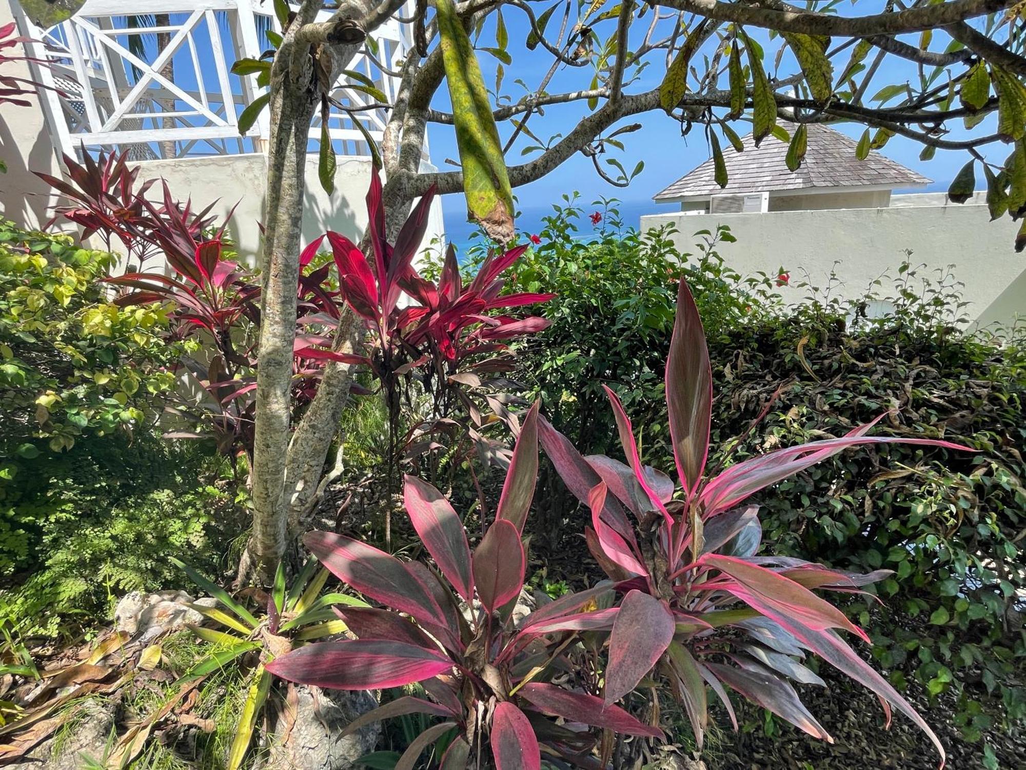 Oceanbreeze Jamaica Penthouse, 7-Minute Walk To Beach 오쵸 리오스 외부 사진